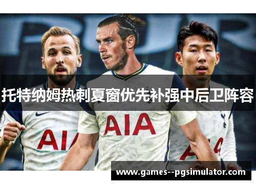 托特纳姆热刺夏窗优先补强中后卫阵容